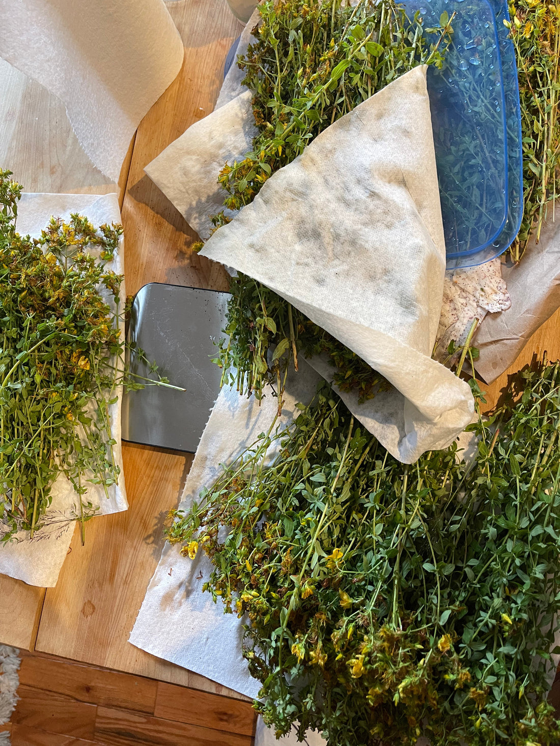 St. John's Wort Monograph