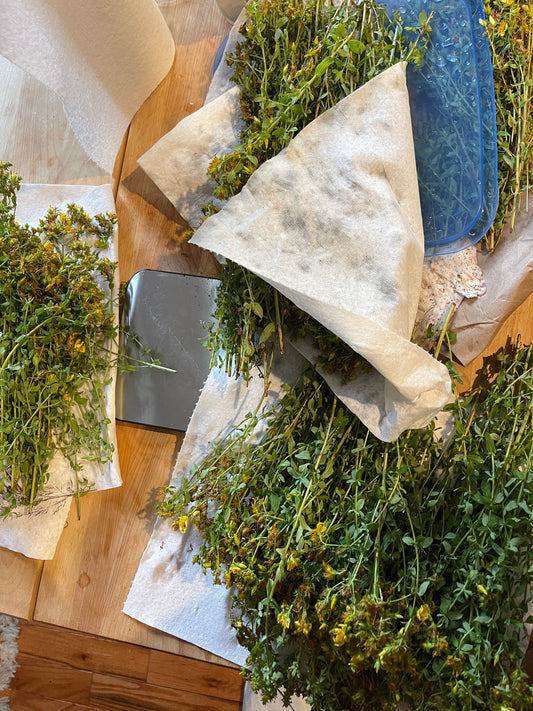 St. John's Wort Monograph